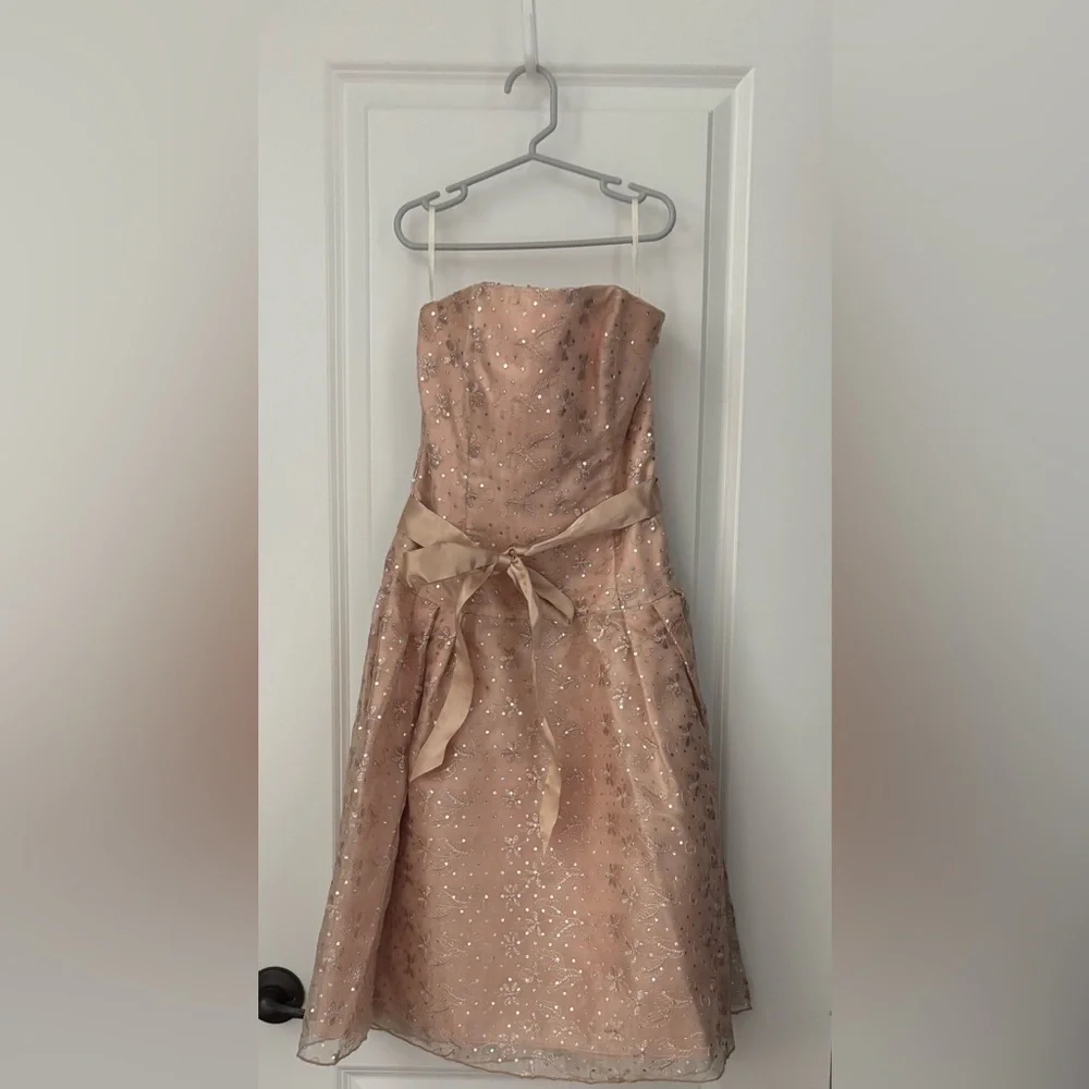 Jessica McClintock Beige Strapless Sundress for Weddings - Picture 1 of 1